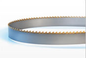 CT Gold Bandsaw Blade